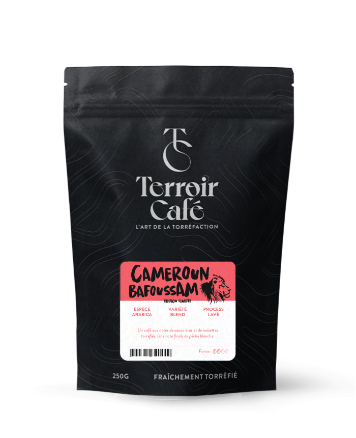 Terroir café : Café du Cameroun - Bafoussam