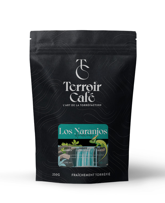 Terroir café : Café d'Honduras - Los Naranjos