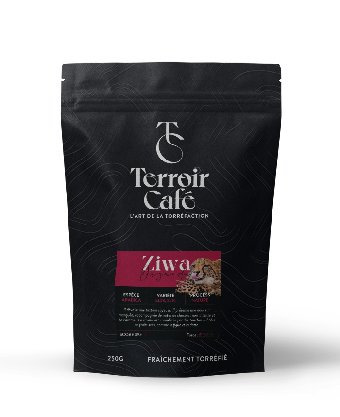 Terroir café : Café d'Ouganda - ZIWA